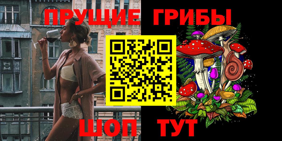 Псилоцибиновые грибы Psilocybe Тара