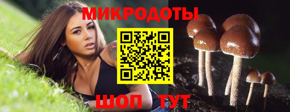 Галлюциногенные грибы Psilocybine cubensis  Псилоцибиновые грибы Psilocybine cubensis  Тара  Вход с VPN 