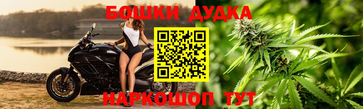 Конопля индика Тара